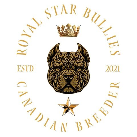 White Background Logo